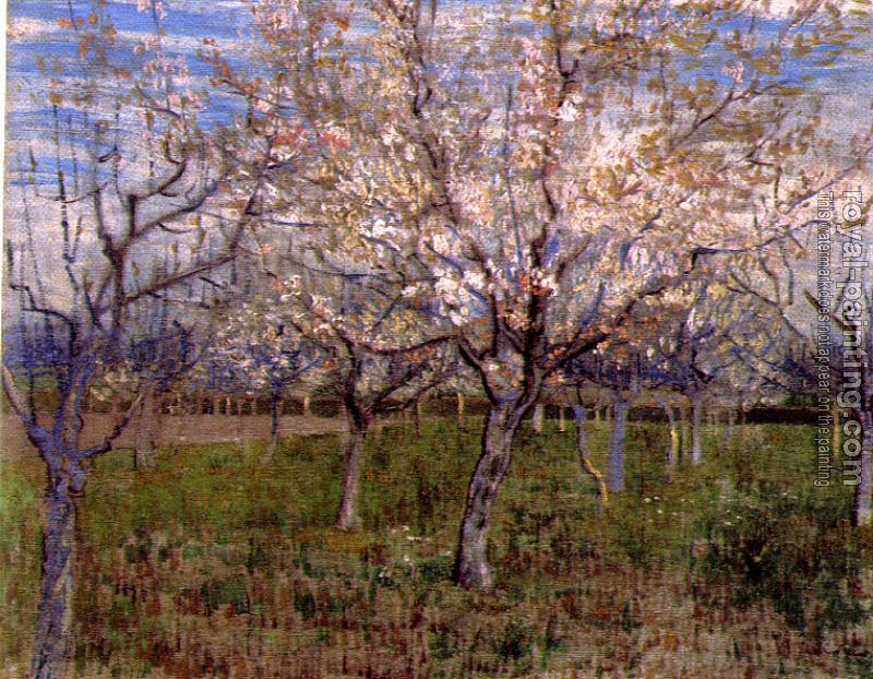 Vincent Van Gogh : Orchard with Blossoming Apricot Trees